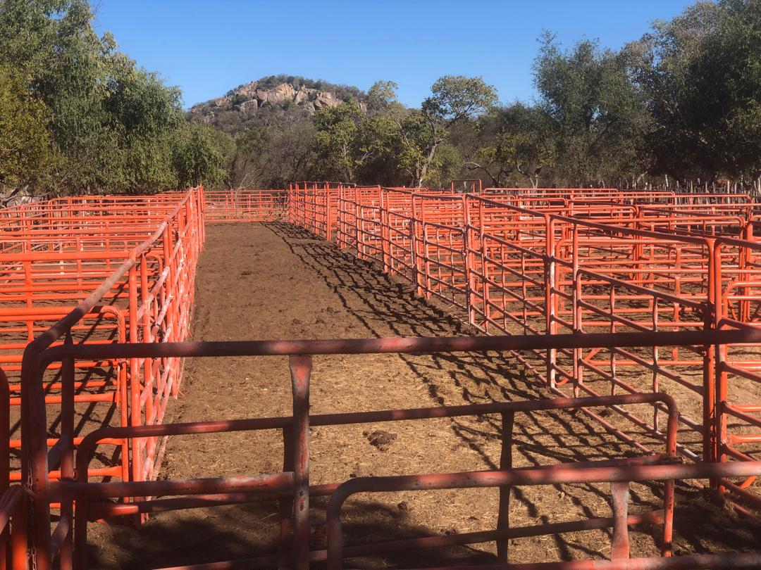 CC Sales Portable Sales Pens